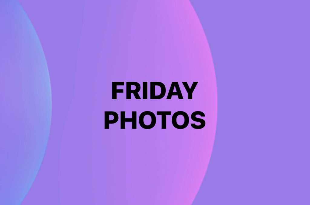 Friday Photos